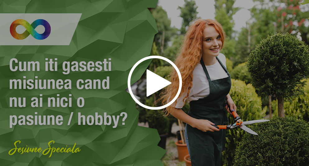 Cum iti gasesti misiunea cand nu ai nici o pasiune/ hobby?